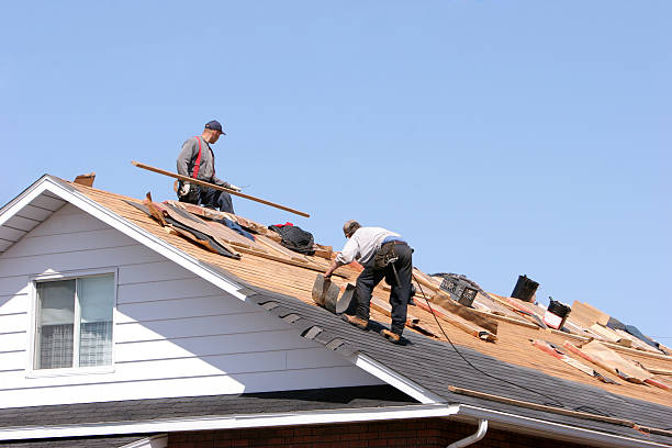 Best Gutter Installation and Repair  in Saint Johns University, MN