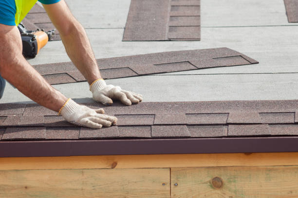 Professional  Roofing repair and installation in Saint Johns University, MN