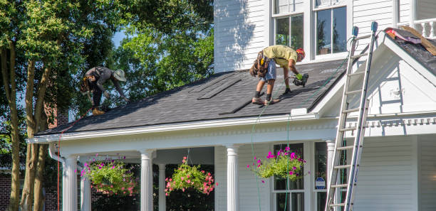 Best Metal Roofing Installation  in Saint Johns University, MN